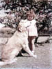 gareh's in india64